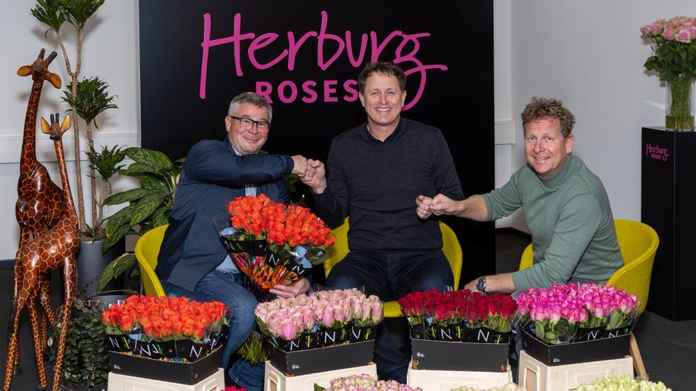 Nini Herburg Roses: Dutch Flower Group wird Gesellschaf…